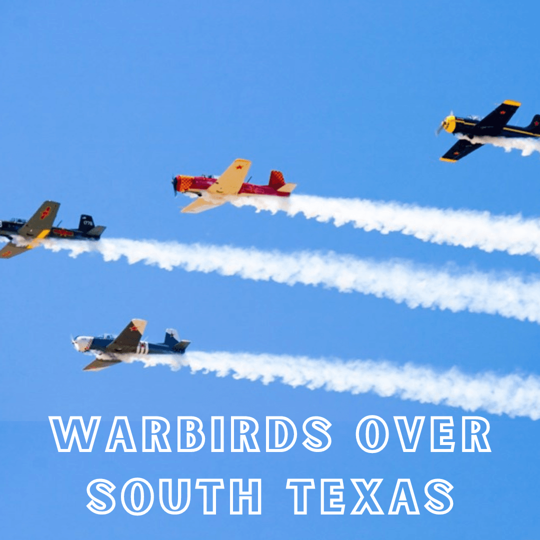 warbirds over south texas
